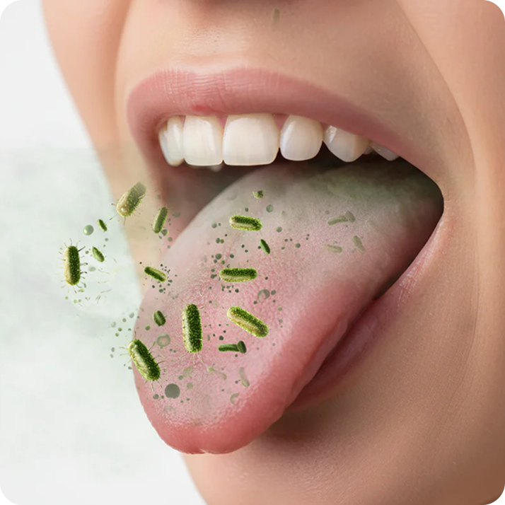 Fresh breath starts here